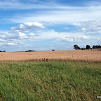 20100824_110_small.JPG