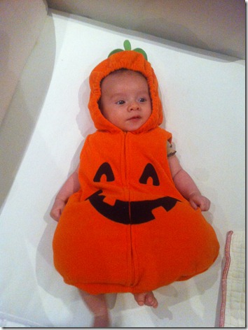 pumpkin 1 pumpkin 1