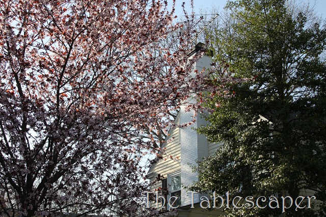 [Easter-is-Upon-Us-0053.jpg]