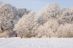 henrikj_101204_4114 - der - der.jpg
