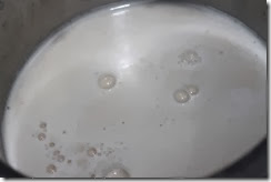IMG_3445 IMG_3445