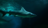 2011-11-07 11.25.37.jpg