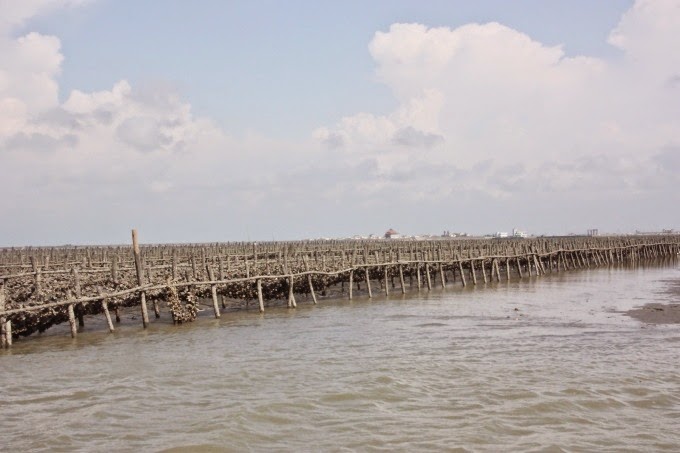 2014_0808_150823 2014_0808_150823