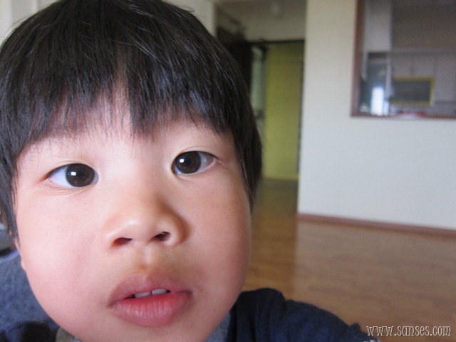 [IMG_4710%255B2%255D.jpg]