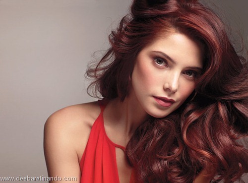 ashley greene linda sensual gata sexy hot photos fotos desbaratinando (43) ashley greene linda sensual gata sexy hot photos fotos desbaratinando (43)
