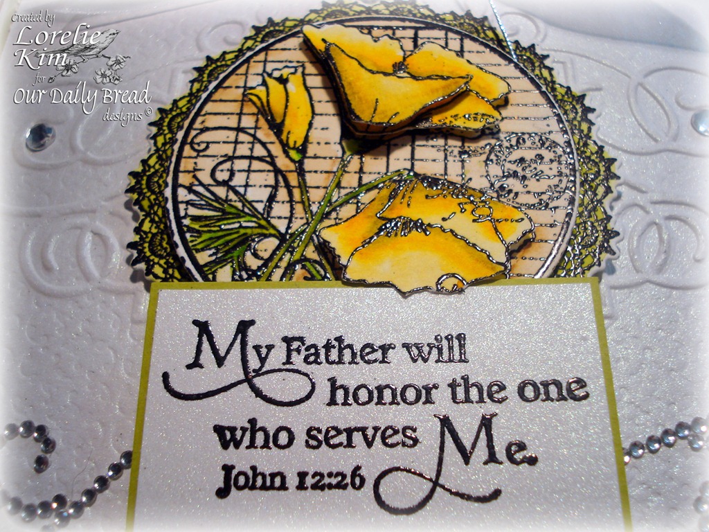 [DSC03365%255B4%255D.jpg]