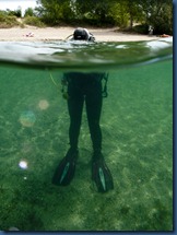 IMG_9288 IMG_9288