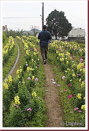 IMG_2476 IMG_2476