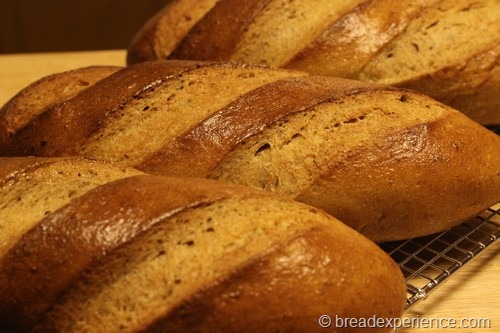swedish-rye-bread034