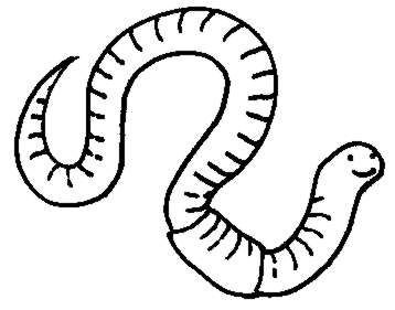 [worm-clip-art-white-worm.jpg]