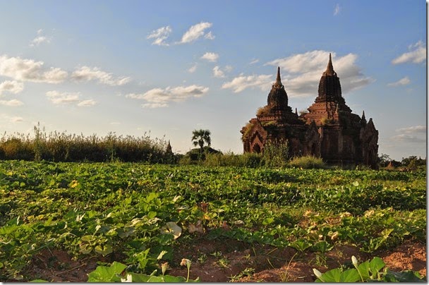 Burma Myanmar Bagan 131129_0173
