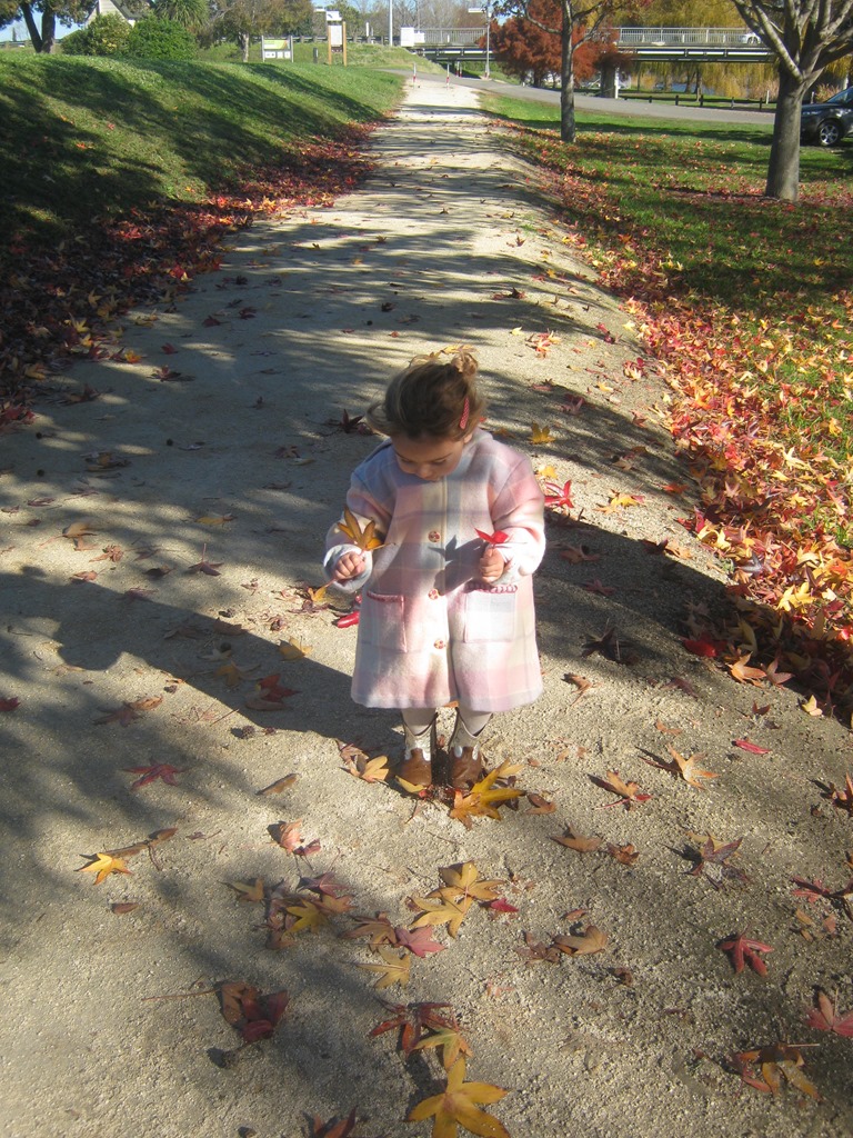 [IMG_9290%255B6%255D.jpg]