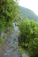 The path to Corniglia