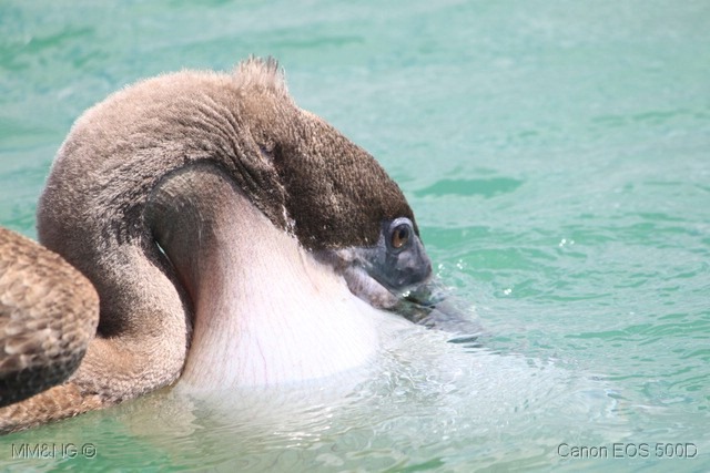 [IMG_9096%255B7%255D.jpg]