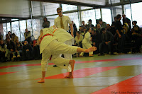 IMG_1137.jpg