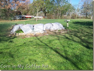 Garden Harvest  last week Nov 2011 011