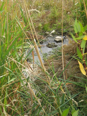 [IMG_7850%255B4%255D.jpg]