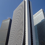 skyscrapers in shinjuku in Shinjuku, Japan 