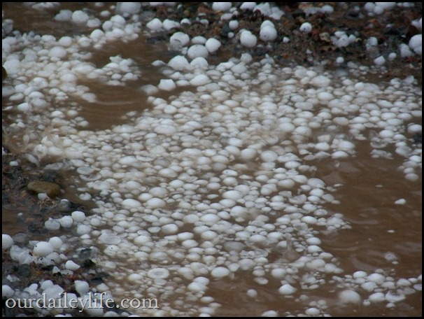 minnesota golf ball sized hail