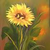 47.Sonnenblume.jpg