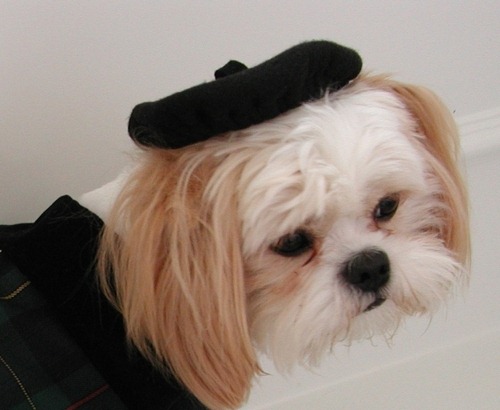[Beret%2520-%2520Black_large%255B3%255D.jpg]