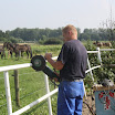 werk week manege 053.JPG