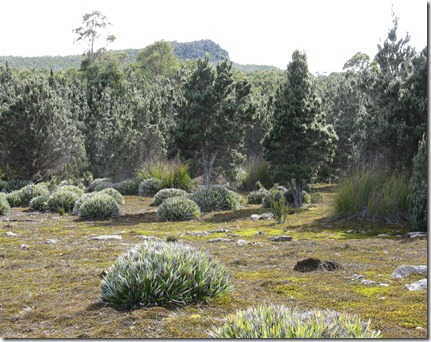 Georges Flagland and Mount Charles