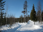 IMG_2253