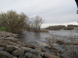 IMG_0088-3.JPG