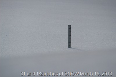 31 and a half inches of snow at the snow stick