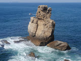P9232946.JPG