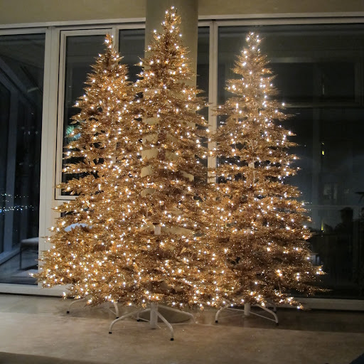 The trees light up my living room -- now it is time to start decorating them!