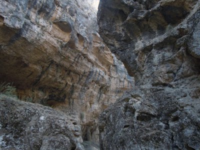 DSCN4036.jpg