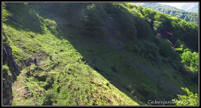 pano6 pano6