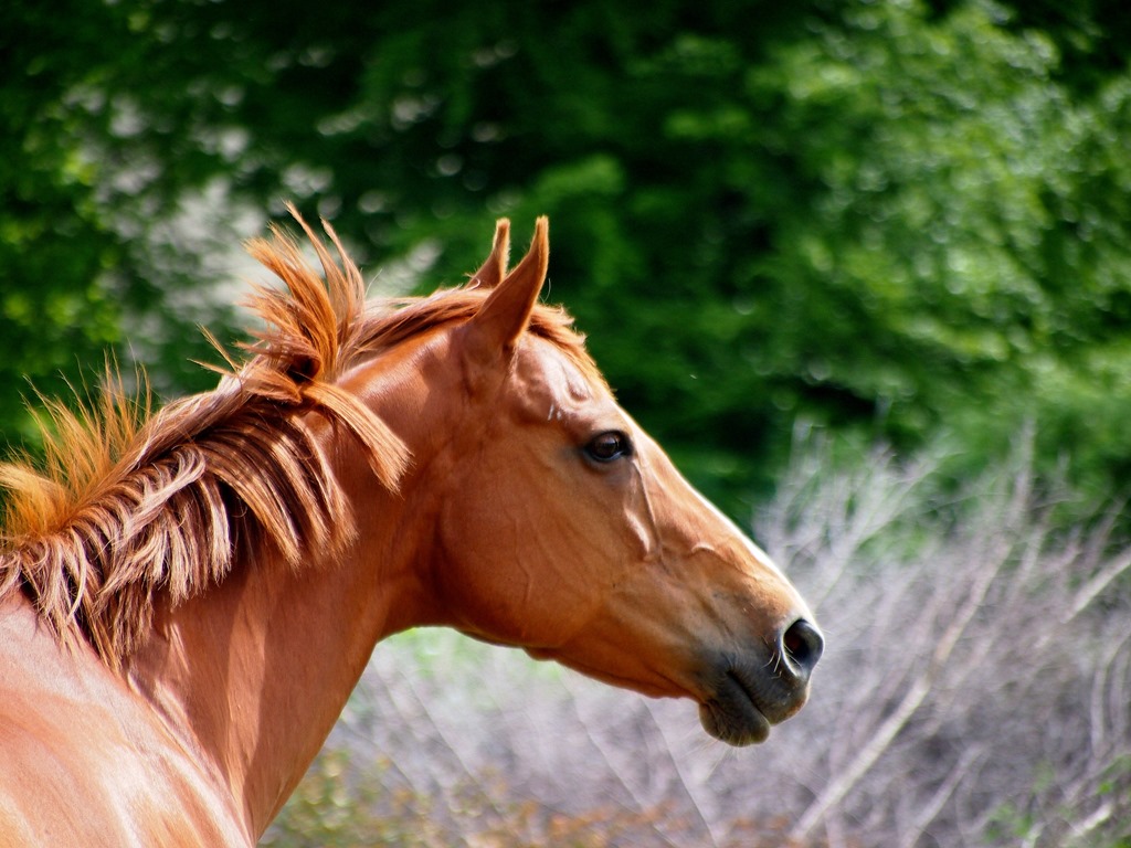 [2%2520July%252019-001%255B3%255D.jpg]