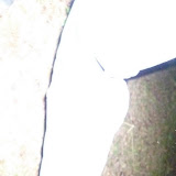 P1050573.JPG