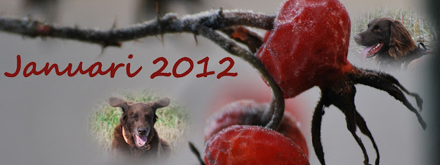 januari 2012