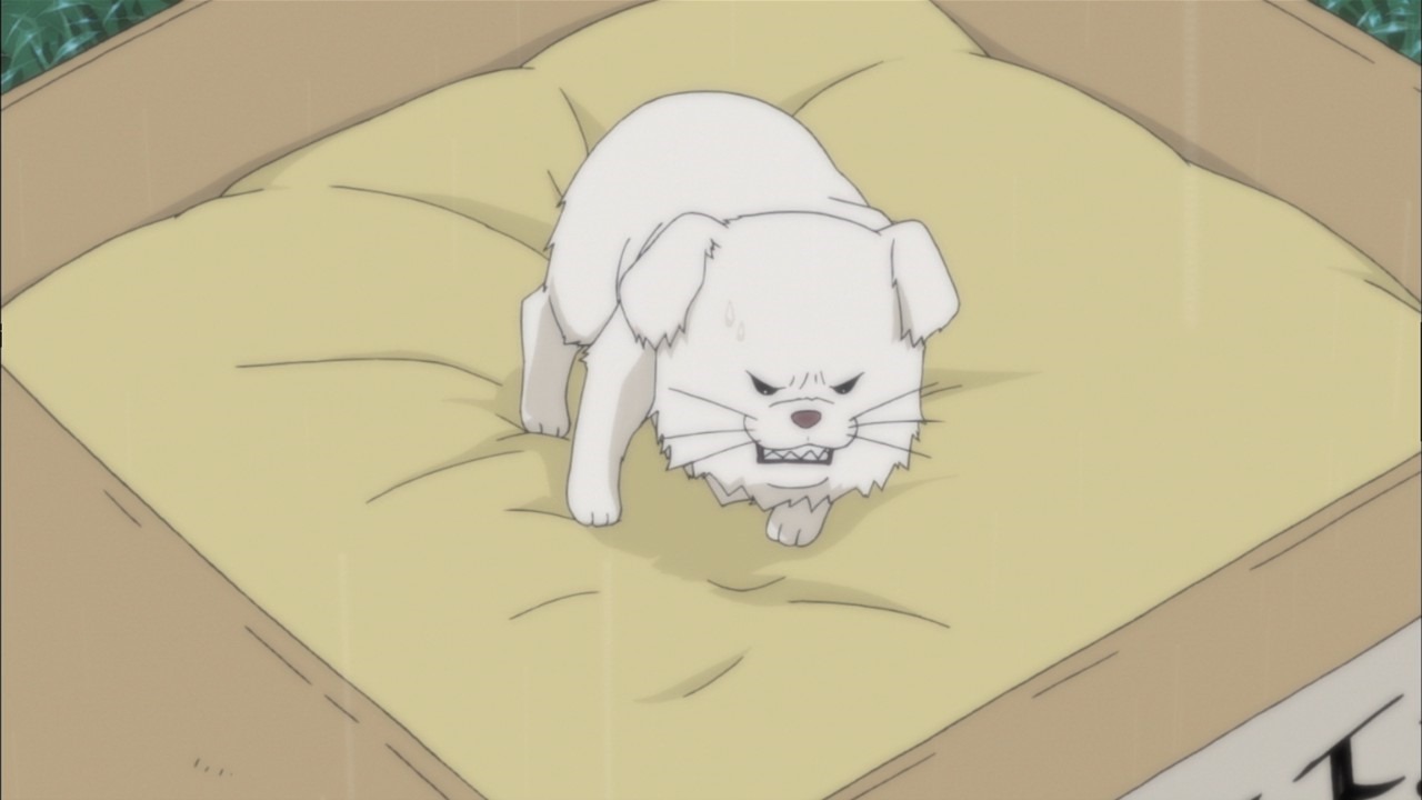 [Kimi%2520ni%2520Todoke%252002%2520Puppy%255B2%255D.jpg]