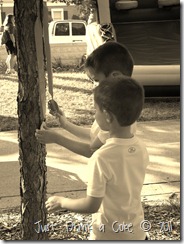 IMG_8851 IMG_8851