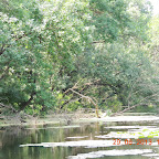 DSCN8303.JPG