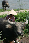 Hue, Vietnam 879.JPG