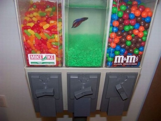 [chobbler%2520picdump%252043%255B2%255D.jpg]