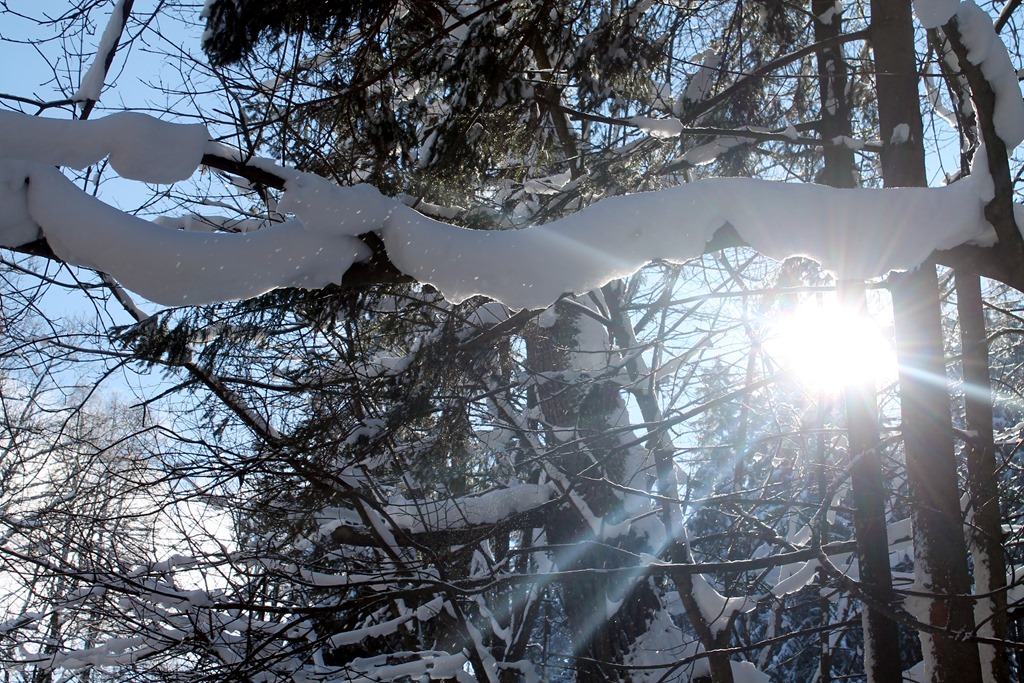 [IMG_9447%255B14%255D.jpg]