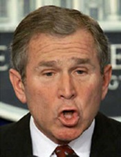 Bush moron