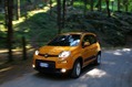 2013-Fiat-Panda-Trekking-9_thumb.jpg?imgmax=800