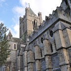 DSC_7435-2.jpg