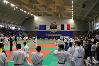_MG_9335.jpg