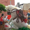 El Blog de María Serralba-Fiesta San Isidro´14-Yecla