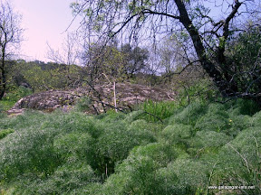 rio-guadarrama-parque-regional (19).JPG