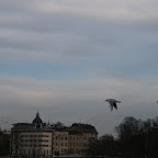 005.jpg 005.jpg